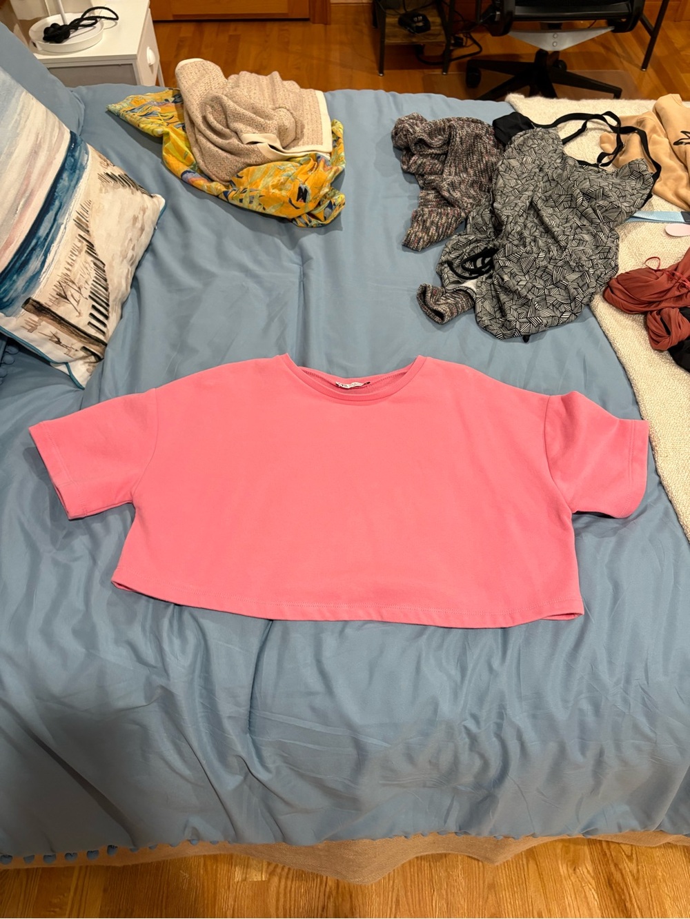 Zara Pink Cropped Tee